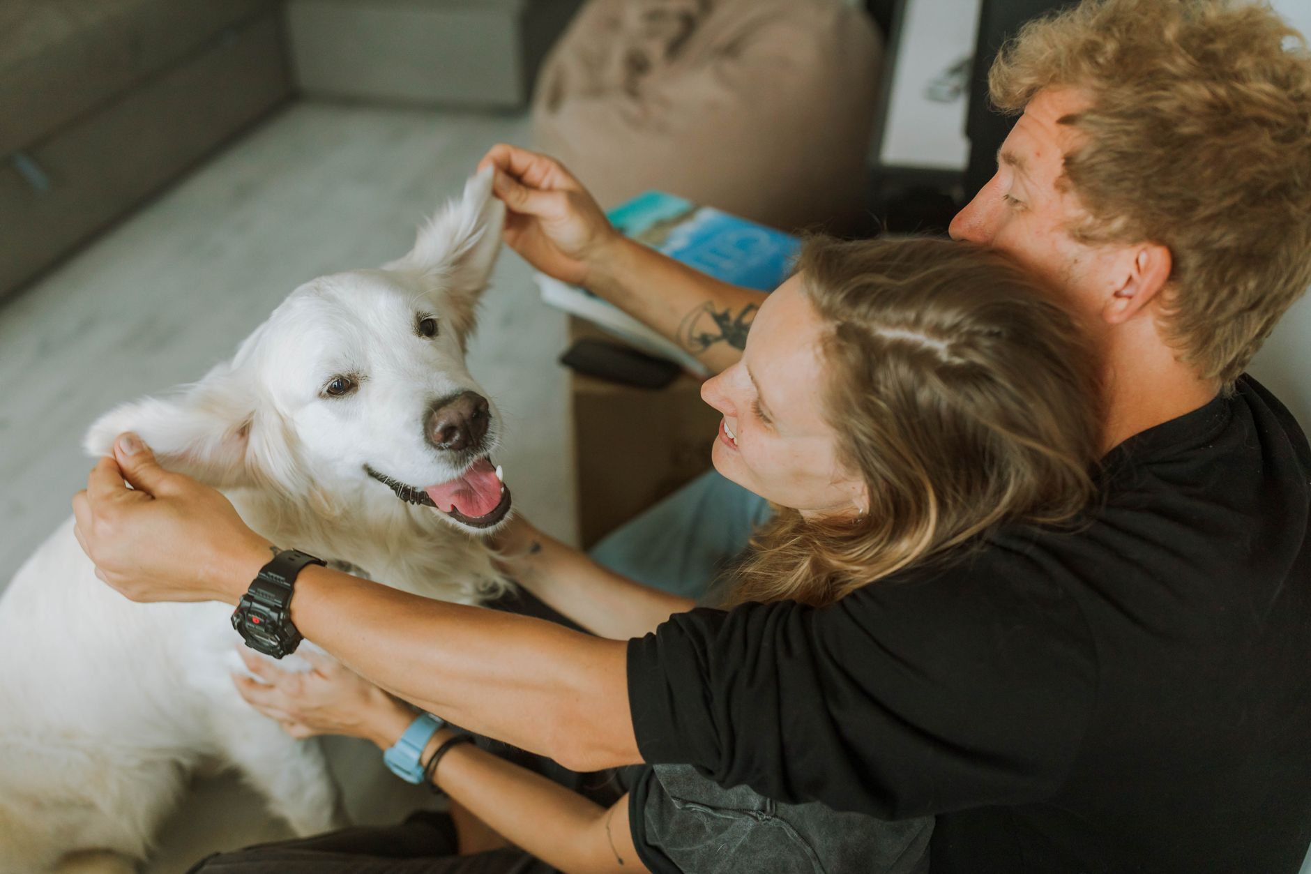 Adopter un chien en famille