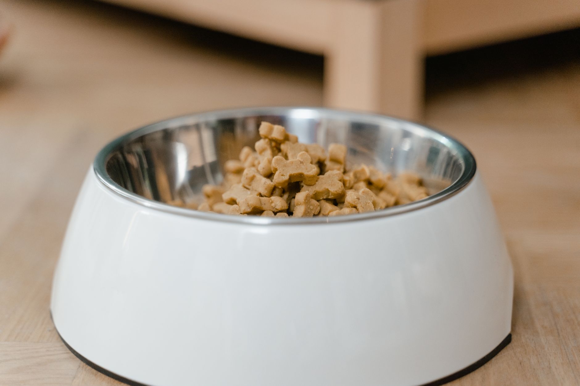 Croquettes et pâtée pour chat