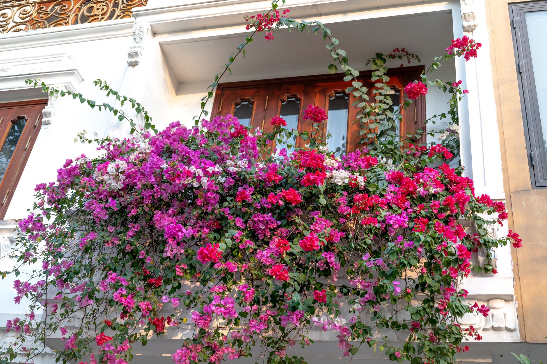 Balcon fleuri et coloré