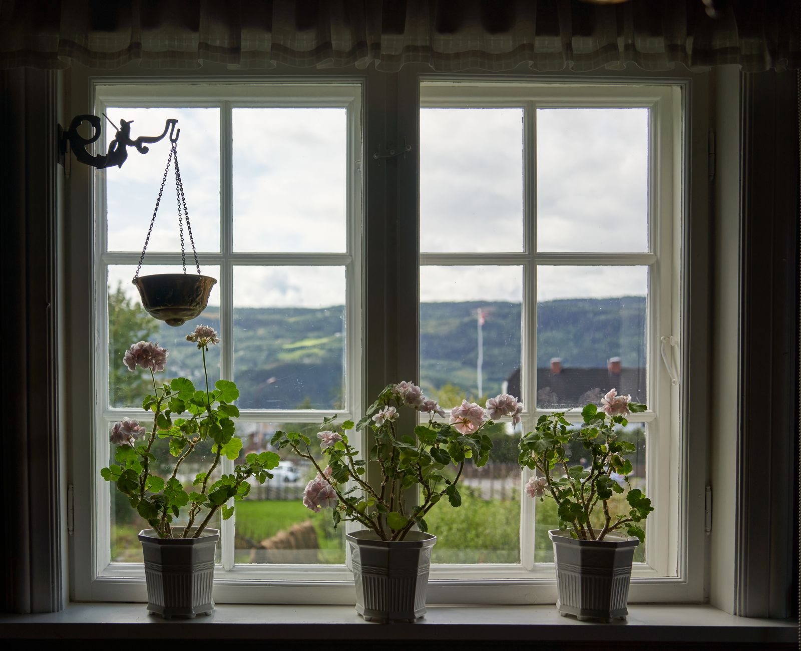 Fleurs en pots sur un balcon