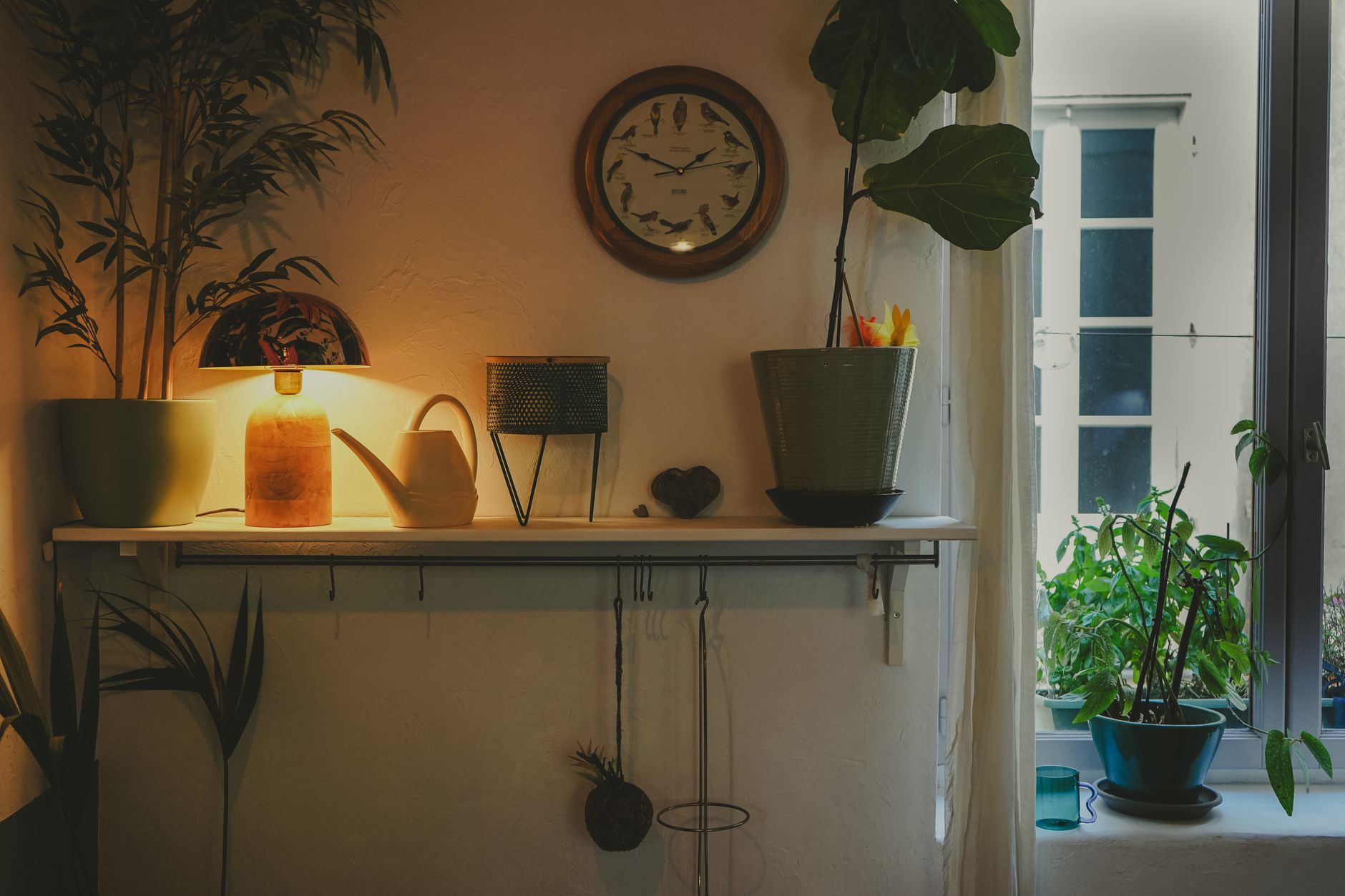 Plantes d’intérieur increvables dans un salon lumineux