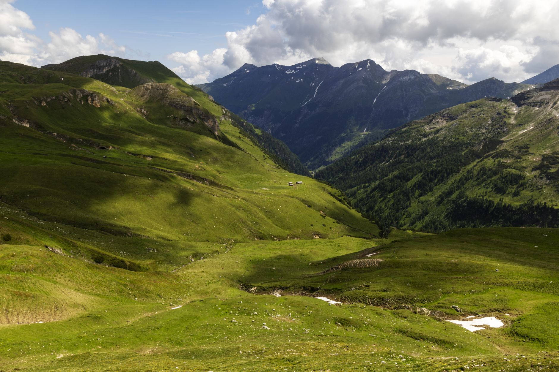 Vacances à la montagne en été